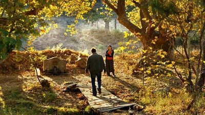 Cannes 2018 - Le Poirier sauvage : "Si Nuri Bilge Ceylan me demande de jouer un arbre, je le ferai", confie l'acteur principal