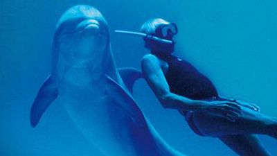 image de la news L'homme dauphin : "Luc Besson a pris l'histoire de Jacques Mayol et en a fait une fable. Ça n'avait rien à voir avec la réalité"