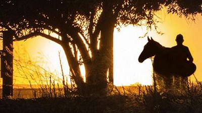 image de la news La Route sauvage : "Parfois, le cercle familial n’est pas forcément le cercle de votre propre sang"