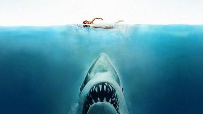 image de la news 10 règles à respecter quand on va à la plage