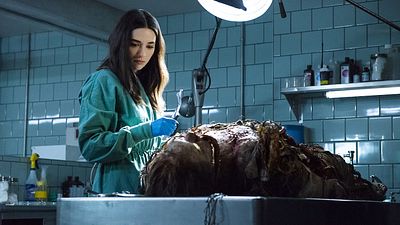 image de la news Swamp Thing : que vaut la série horrifique DC Comics adaptée de La Créature du marais ?