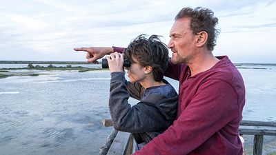 image de la news Donne moi des ailes : "420 millions d'oiseaux ont disparu en moins de 30 ans"