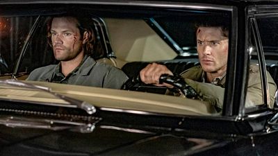 image de la news Coronavirus : quelles séries US ont pu terminer leur production ?  