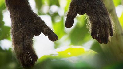 image de la news Netflix : 5 films qui cultivent une veine écolo à voir pendant le confinement