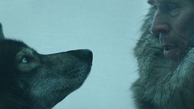 image de la news Disney+ : 9 programmes pour célébrer la journée du chien (Out, Togo, Frankenweenie…)