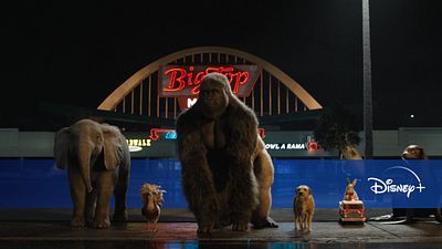 image de la news Nouveautés Disney+ du 11 au 17 septembre : Le Seul et Unique Ivan, Dans les yeux d’Enzo…