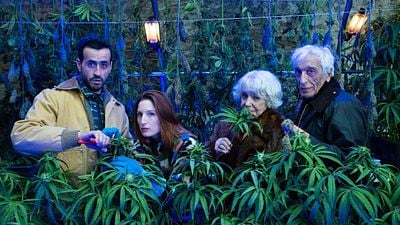 image de la news Family Business sur Netflix : “La saison 2 est à la hauteur, et même au-delà !”