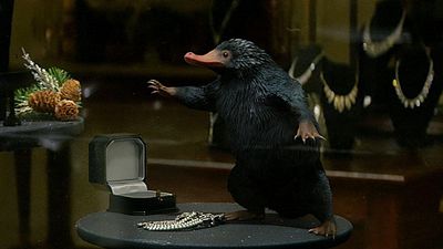 image de la news Les Animaux fantastiques sur TF1 : niffleur, botruc, demiguise... quelles sont ces nouvelles créatures ? 