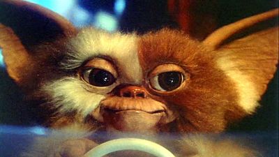 image de la news Gremlins sur TF1 Séries Films : où en est l'épisode 3 ?
