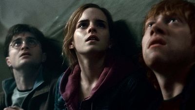 image de la news Harry Potter : Chris Columbus aurait voulu en faire plus