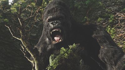 image de la news King Kong : saviez-vous que Peter Jackson avait été aidé par un autre grand réalisateur pour boucler le film ?