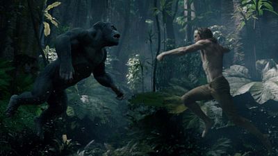 image de la news Tarzan : les singes du film de 2016 sont-ils de vrais animaux ?