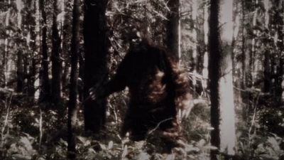 image de la news Bande-annonce Sasquatch : une série documentaire sur le mythe du Bigfoot par les frères Duplass