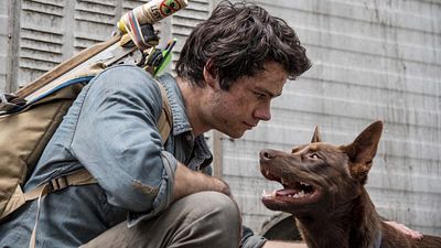 image de la news Love and Monsters sur Netflix : le réalisateur a déjà quelques idées pour une suite