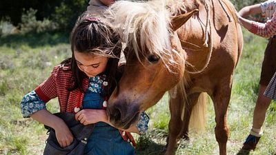image de la news Poly avec François Cluzet : connaissez-vous la série dont est tiré le film ?