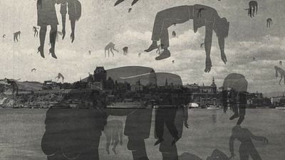 image de la news Archipel : un film d'animation primé à Annecy entre le documentaire et la fiction