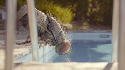 image de la news VOD : quels sont les films à voir cette semaine du 19 au 25 septembre ?