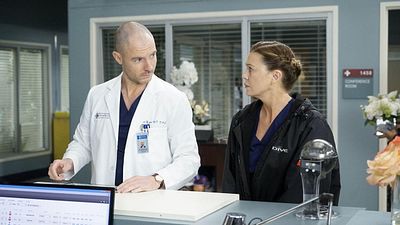 image de la news Grey's Anatomy : Meredith et Hayes vont-ils enfin se rapprocher dans la saison 18 ?