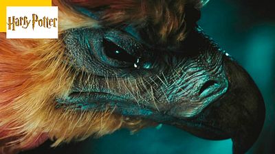 image de la news Quiz Harry Potter : à quels personnages appartiennent ces animaux de compagnie ?