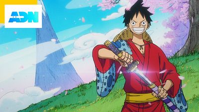 image de la news One Piece : la success story du manga vue par son éditeur français