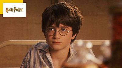 image de la news Harry Potter : ce petit détail que le réalisateur aimerait modifier dans le premier volet