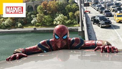 image de la news Spider-Man 3 : ce personnage de Avengers Endgame a été coupé au montage de No Way Home