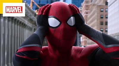 image de la news Spider-Man No Way Home : après Les Eternels, une nouvelle référence à DC Comics dans un film Marvel