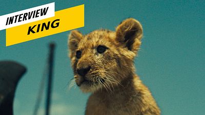 image de la news Un Roi Lion à la française : le lionceau de King est-il réel ?