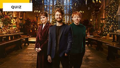 image de la news Quiz Harry Potter - Retour à Poudlard : êtes-vous incollable sur la saga culte ?