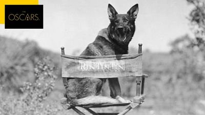 image de la news Oscars : Quand la statuette du Meilleur acteur devait revenir... à un chien !