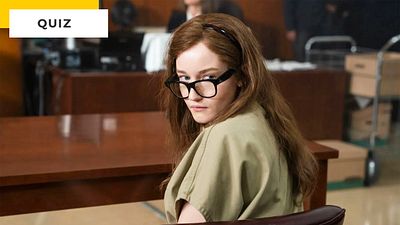 image de la news Quiz : Inventing Anna, L'Arnaqueur de Tinder... Si vous obtenez 7/7, vous êtes un roi de l'arnaque !