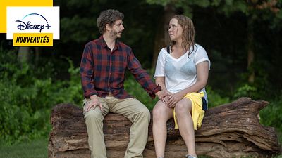 image de la news A voir sur Disney+ du 13 au 19 mai : la comédie Life & Beth avec Amy Schumer, L'Incroyable Hulk, la saison 2 d’un succès français…