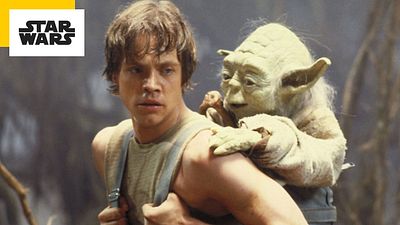 image de la news Star Wars : cet homme célèbre qui a inspiré le visage de Yoda