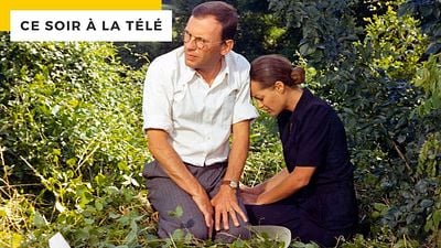 image de la news Ce soir à la télé : quand Trintignant tournait avec Romy Schneider