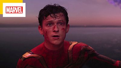 image de la news Spider-Man No Way Home : à quels méchants Marvel appartiennent ces silhouettes à la fin du film ?