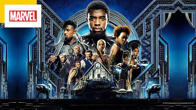 image de la news Black Panther 2 : cet acteur du 1er film ne sera pas dans la suite