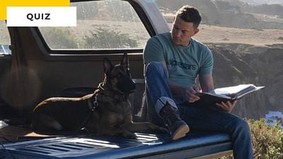 Quiz Cinéma : dans quel film voit-on ce chien ?