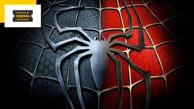 Spider-Man : le spin-off Madame Web décalé de plusieurs mois