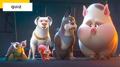 image de la news Quiz Cinéma : dans quel film voit-on cet animal ?