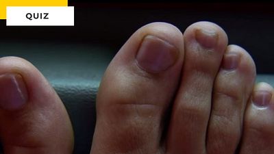 image de la news Quiz Quentin Tarantino : saurez-vous reconnaître les films du réalisateur ?