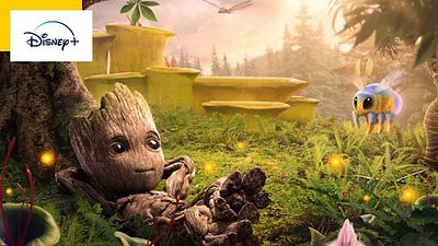 image de la news A voir sur Disney+ du 05 au 11 Août : le nouveau Predator, un héros des Gardiens de la Galaxie star d’une série, Star Wars à la plage…