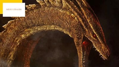 image de la news House of the Dragon sur OCS : quels sont les dragons du spin-off de Game of Thrones ?