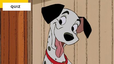 image de la news Quiz Disney : à quels films de notre enfance appartiennent ces chiens ?