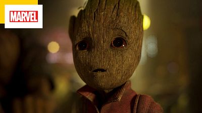 image de la news Baby Groot : saviez-vous qu'un véritable arbre avait inspiré l'adorable créature Marvel ?