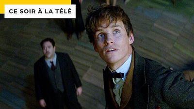 image de la news Ce soir à la télé : le film qui a surpris les fans de Harry Potter