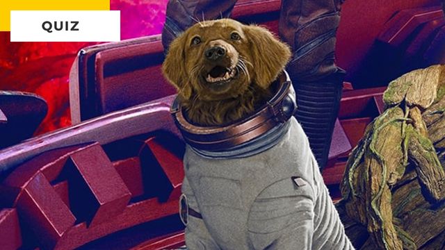 Quiz Cinéma : impossible de reconnaître ces 7 chiens !