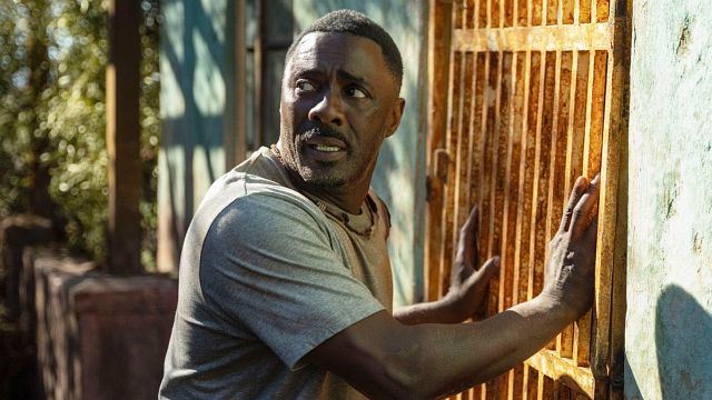 image de la news Beast sur TF1 : le lion qu'affronte Idris Elba dans le film est-il réel ou créé par ordinateur ?