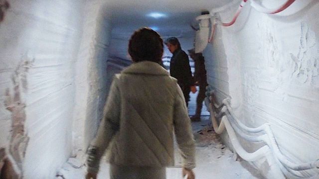 image de la news C'est l'une des plus grandes héroïnes de la science-fiction : depuis 48 ans, elle inspire des millions de fans