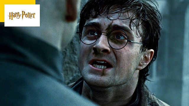 image de la news Harry Potter en série télé : êtes-vous pour ou contre ?