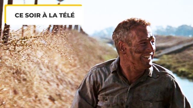 Ce soir à la télé : si on ne devait voir qu'un seul film avec Paul Newman, ce serait celui-là !